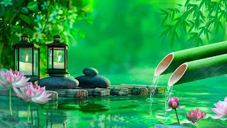 Beautiful Piano Music  Bamboo, Relaxing Music, Relieves Stress Music, Calming music, Nature Sounds