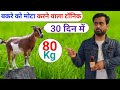 बकरी🐐 बकरे का वजन बढ़ाने वाली टॉनिक🧉30 दिन में 80 kg होगा वजन #बकरी_का_वजन_कैसे_बढ़ाएं