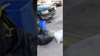 Thats Why Black Katrina And Diamond Running From The Cops