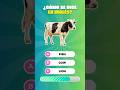 ¿Puedes Adivinar Estos Animales En Inglés? 🐶🐱