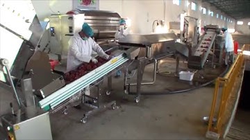 SRAML pomegranate juice processing, Afganistan January 2016