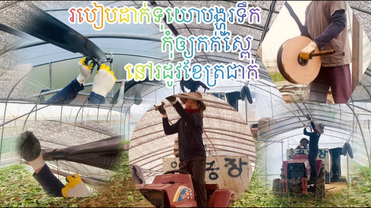 របៀបដាក់ទុយោបង្ហូរទឹកកុំអោយខូចបន្លែនៅពេលរដូវត្រជាក់