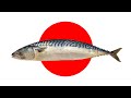 日本鯖