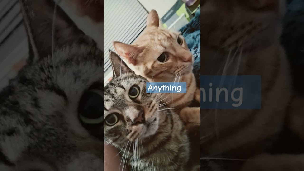 don't feel like doing anything 