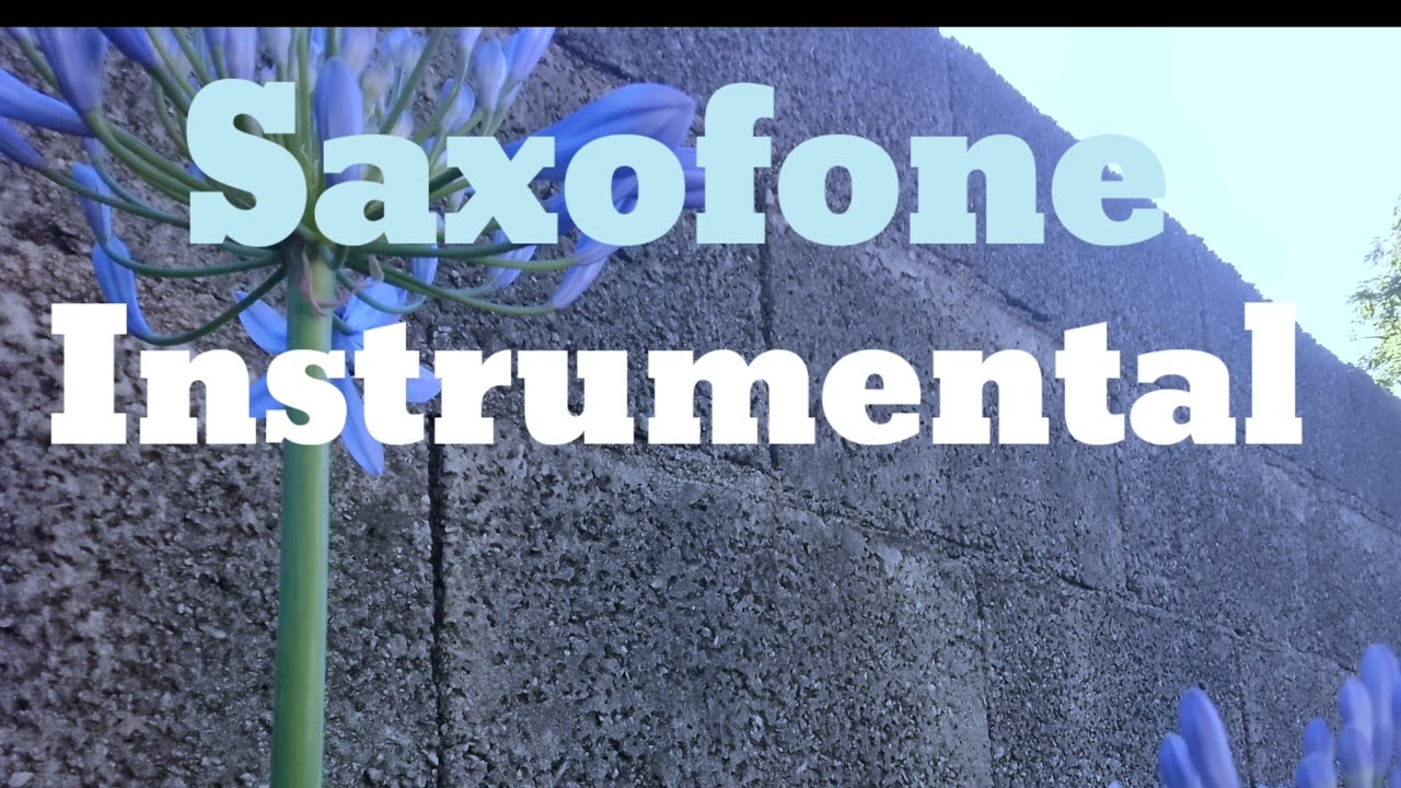 Saxofone 🎷 Instrumental 