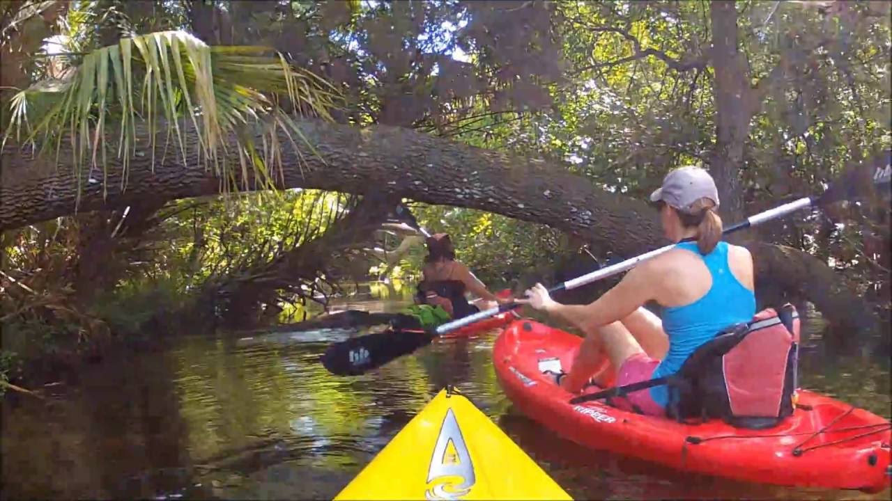 Juniper Springs Kayaking Adventure August 2016 YouTube