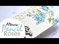 How to Colour Beautiful Roses with Watercolor Pencils!