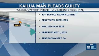 Kailua man pleads guilty to conspiracy to distribute fentanyl
