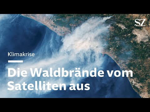 Klimakrise - Die Waldbrände vom Satelliten aus