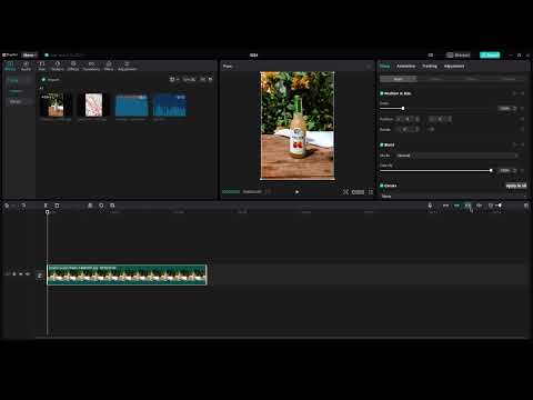 Delayed Split x Split x Triple Split Tutorial l CAPCUT PC 2023 (40 sec)