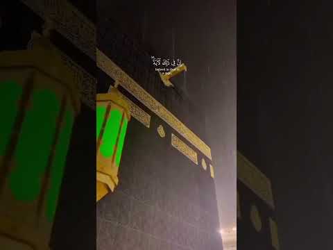 وأمطرنا عليهم مطرا القرآن القران الكريم راحة نفسية