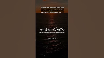 اكتشف نعمة السكينة والهدوء من خلال تلاوة القرآن الكريم  #القرآن_الكريم #المصحف #الرحمن