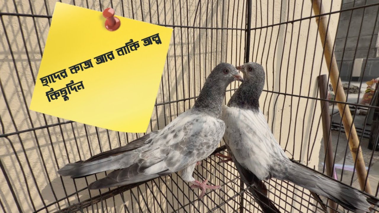 ছাদের কাজ আর বাকি অল্প কিছুদিন