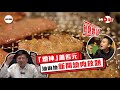 【#好檸新】放題實試｜堅石燒轉型神燈燒   「燈神」蕭若元油麻地新開燒肉放題  比錢食飯話唔可以放上網