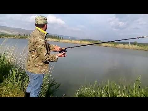 სარკისებრი კობრი 2.200   ქვა მიტოს ტბა...pescare le carpa