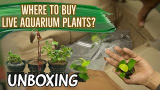 Aquarium plants online for beginners|No Co2|Unboxing live aquarium plants from BlackWaterAquatics