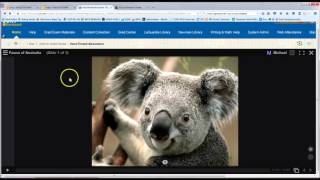 Introduction to VoiceThread