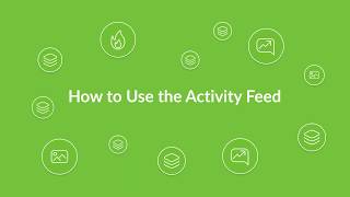 How to Use the Activity Feed