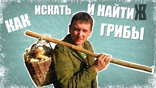 КАК НАЙТИ ГРИБЫ ТАМ ГДЕ БЫЛИ ДРУГИЕ ГРИБНИКИ. Советы от ЖКВ.