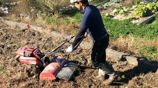 レンゲの花の種植え Youtube