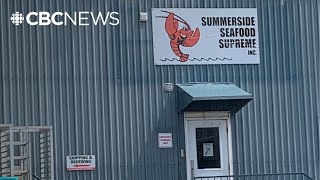 Denied temporary foreign workers, this P.E.I. fish plant is seeking court review