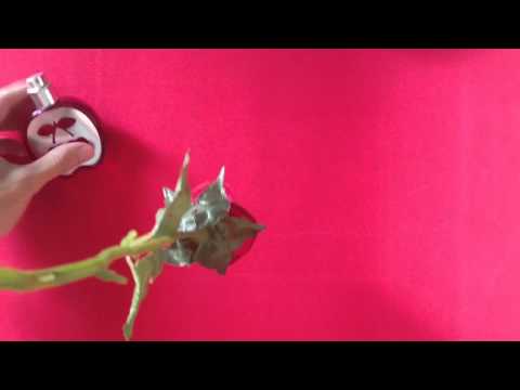 Vídeo: Conservació de roses amb cera - Com conservar roses amb cera