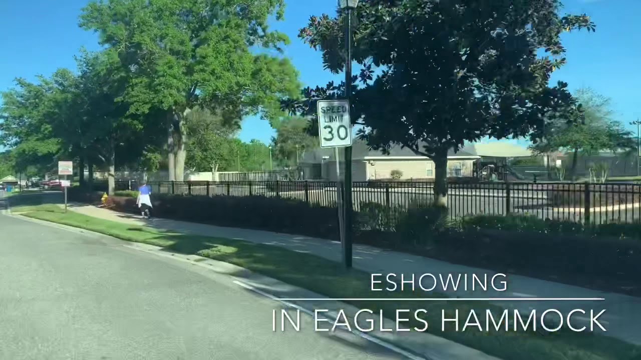 eShowing 14074 Golden Eagle Dr in Eagles Hammock YouTube