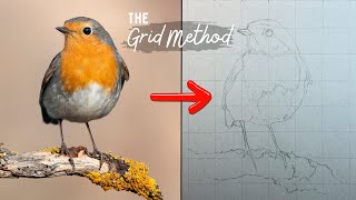 How Anyone Can Draw Anything || The Grid Method