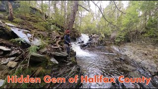 Hidden Gem of Halifax Co. - Exploring Nuttall Brook Fall