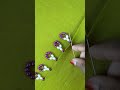 Neckline embroidery tutorial #fblifestyel #fypシ #stitch #trending #viralpost