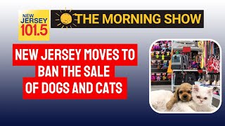 New Jersey moves to ban the sale of dogs, cats and rabbit.