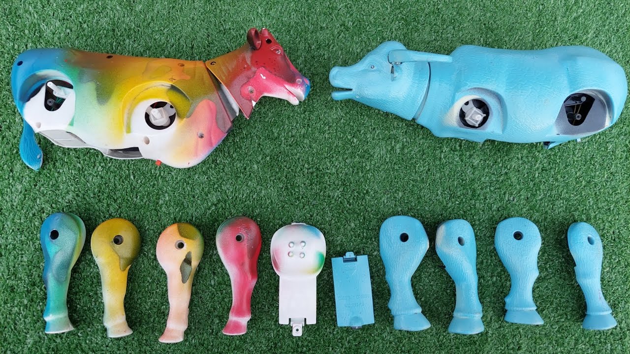 keren..! menemukan sapi, kerbau, kuda, penyu, anjing, beruang, mencari sapi