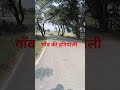गांव की हरियाली#song #travel #nature #farmers #viralvideo #viralnews #viral vlog#bhojpurisong