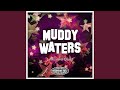Flood mp3