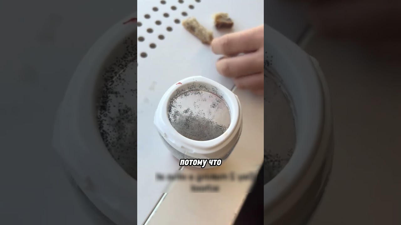 школьники создают вирус 