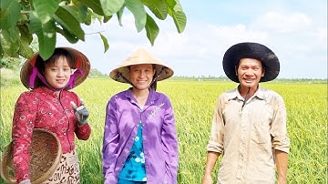 Ra Cánh Đồng Lúa Bắt Cá Cạn Không Ngờ Trúng Mánh Bắt Mỗi Tay Về Làm Món Cá Chiên Giòn l tập 145