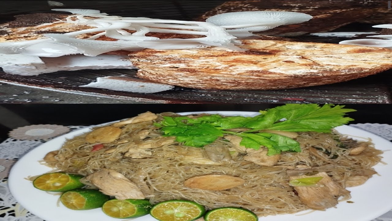 How to cook Harvested Fresh Oyster Mushroom Stir Fry Rice Noodles