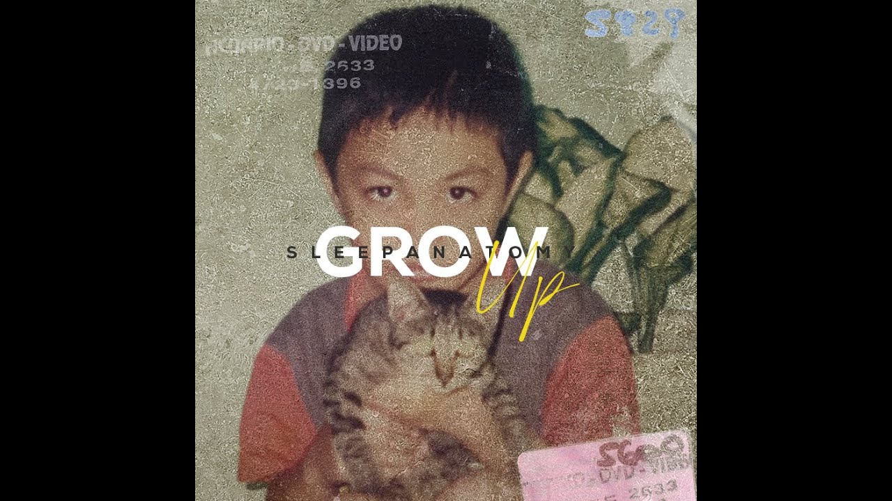 Grow Up - Hip Hop Instrumental Album