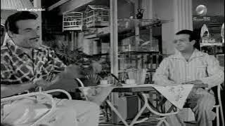 سعد عبد الوهاب راح جنة العصافير يسأل على غراب 😂