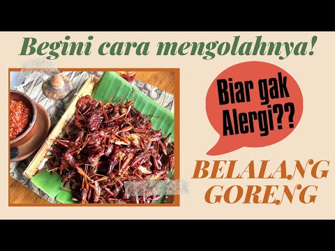 Berbuka puasa dengan belalang goreng hasil pertualangan.... 