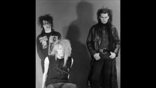 Skinny Puppy  - Edge of Insanity