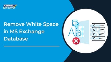 Remove White Space in MS Exchange Database