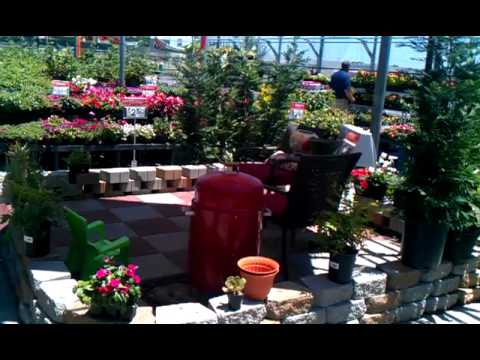 Como decorar el patio trasera youtube