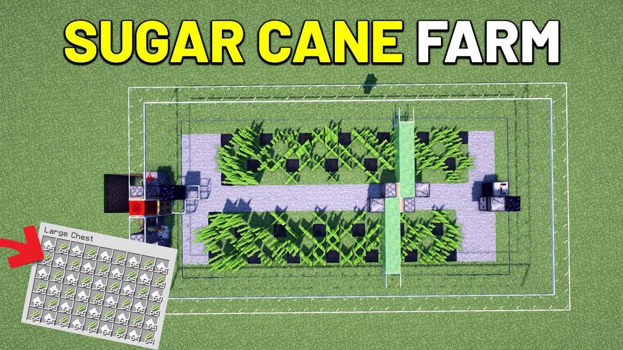 How to Make a Sugar Cane Farm in Minecraft 1500+ Items Per Hour