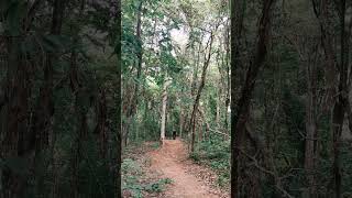 Quicky with my Ragley Big Wig