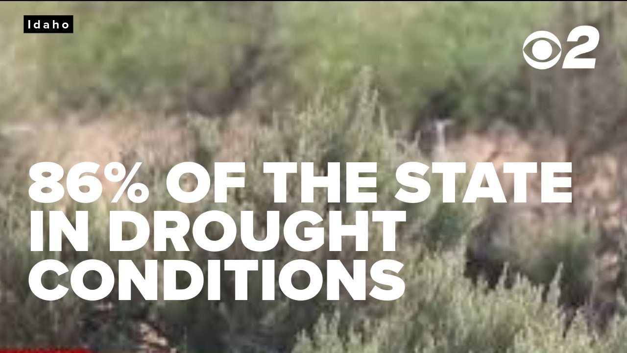 Drought conditions worsen across the state and threaten worse wildfire ...