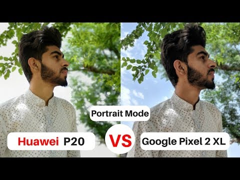 Huawei P20 Camera Vs Google Pixel 2 XL | Portrait Mode | Camera Test Review