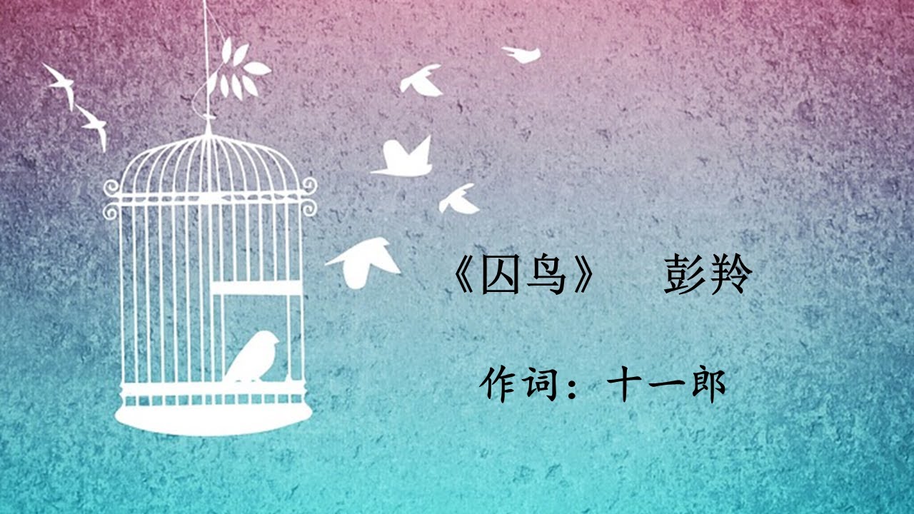 囚鸟 彭羚 qiu niao peng ling - YouTube