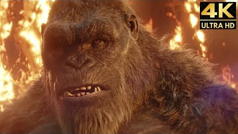 King Kong chased by a Pack 4K Full Fight Scene (2024) Godzilla x Kong Movie.. 👑