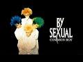 【ギタープレイ動画】COMMON BOY / BY-SEXUAL